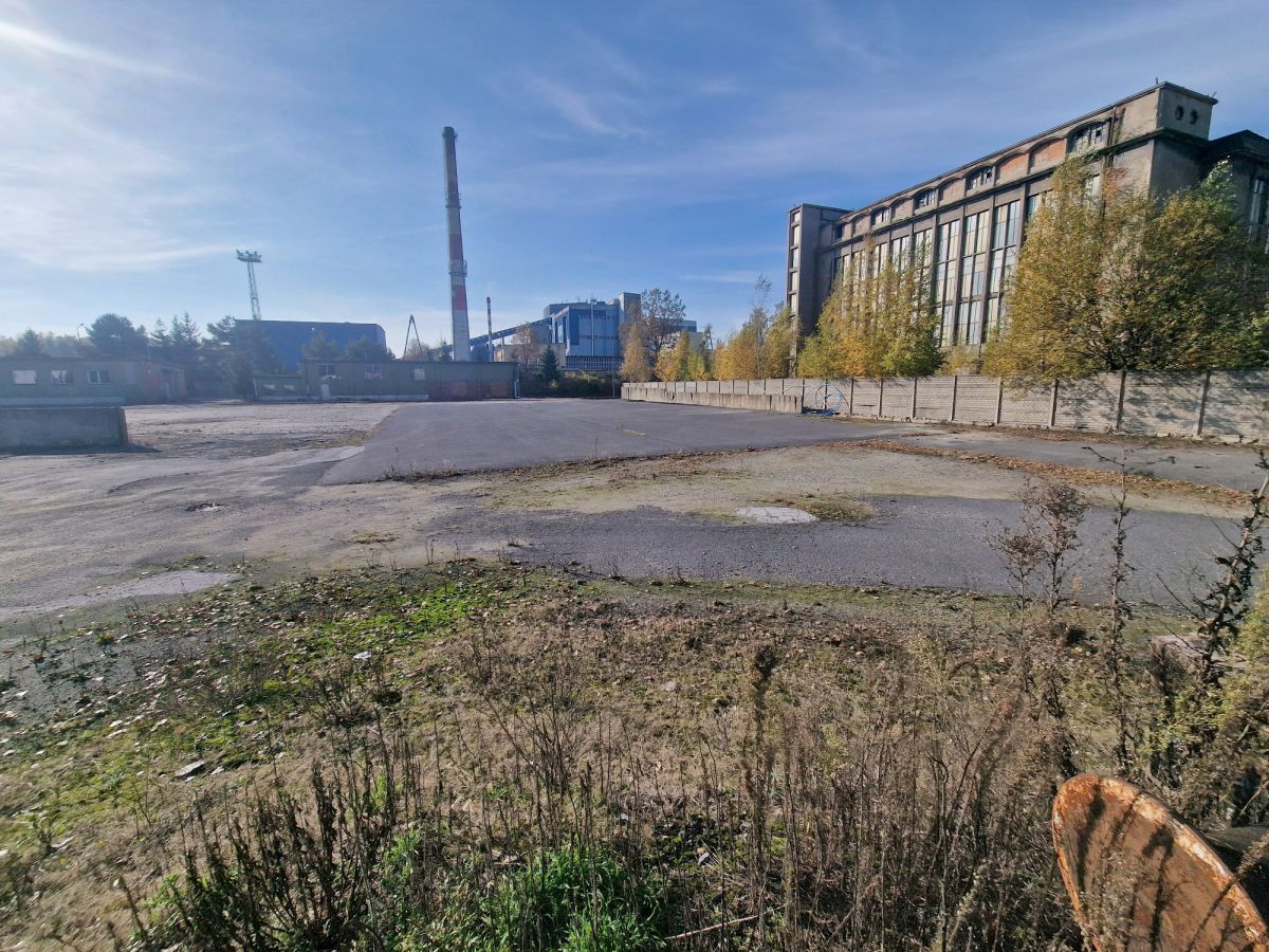 Zdjęcie 17