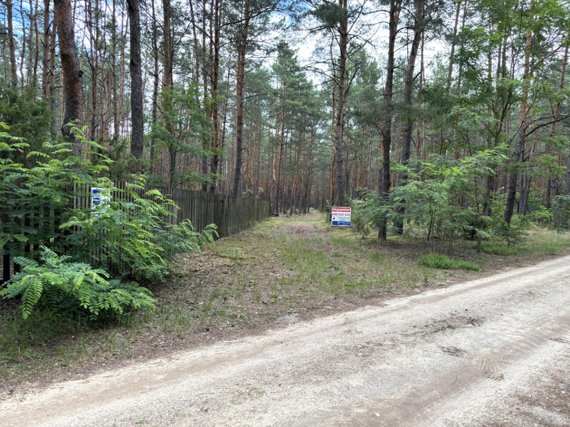 Działka leśna 6 379 m², Rynia