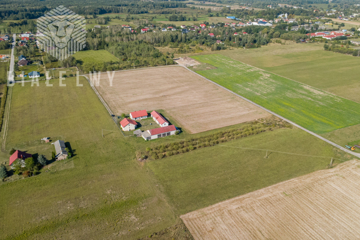 Zdjęcie 8