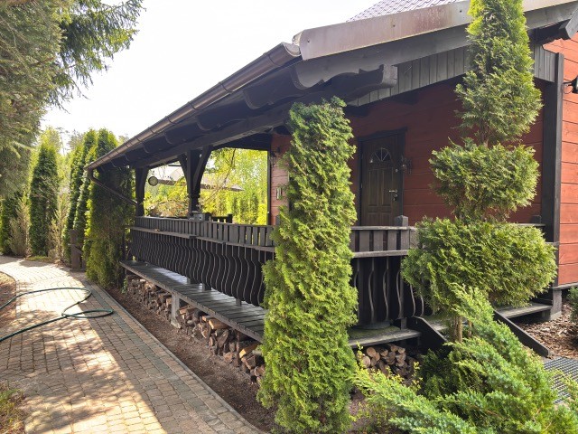 Zdjęcie 11