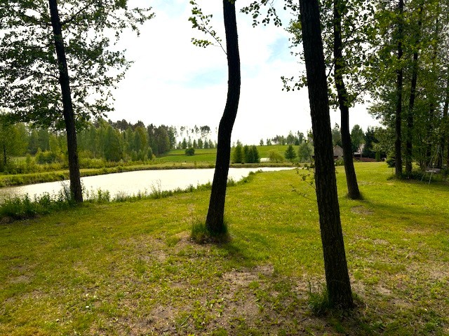 Zdjęcie 14