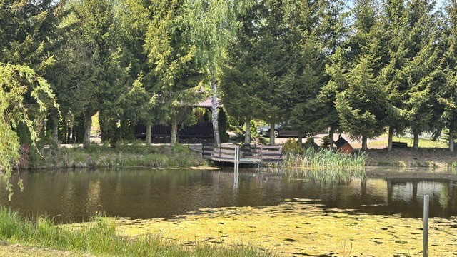 Zdjęcie 15