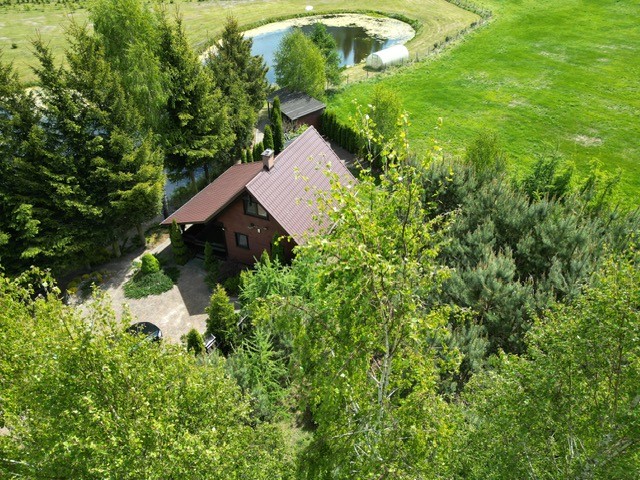 Zdjęcie 16