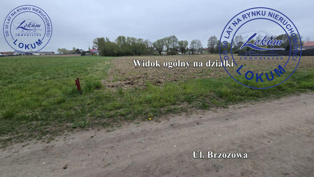 Zdjęcie 6
