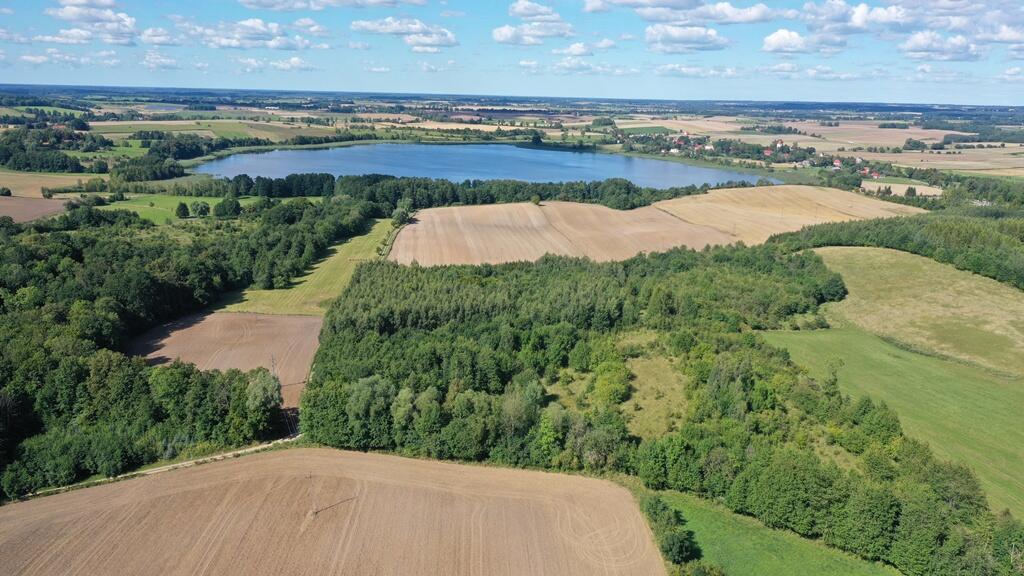 Zdjęcie 11