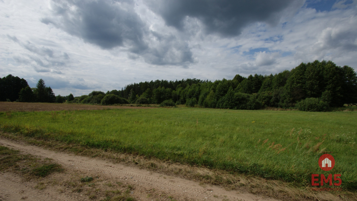 Zdjęcie 6