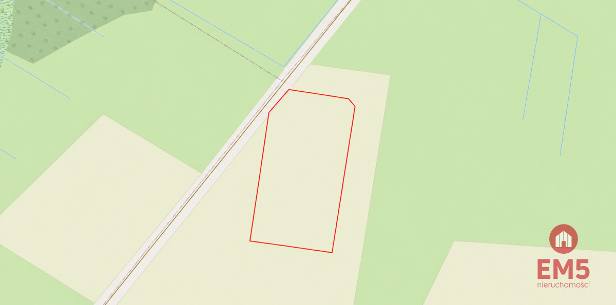 Zdjęcie 9