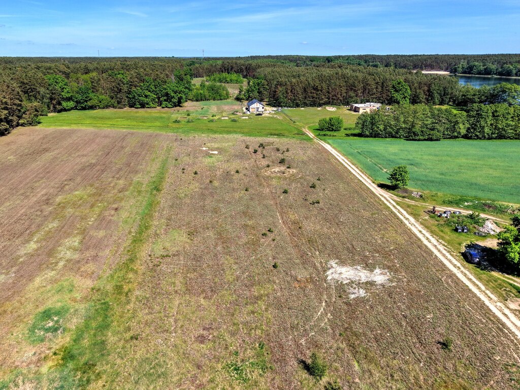 Zdjęcie 12