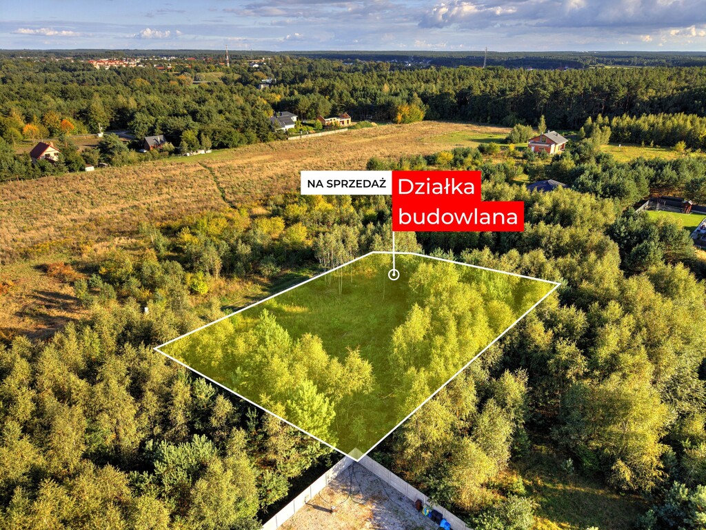 Zdjęcie 3