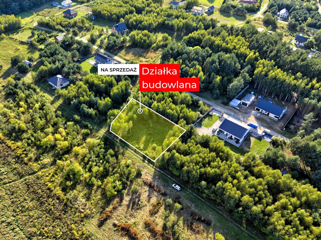 Zdjęcie 10