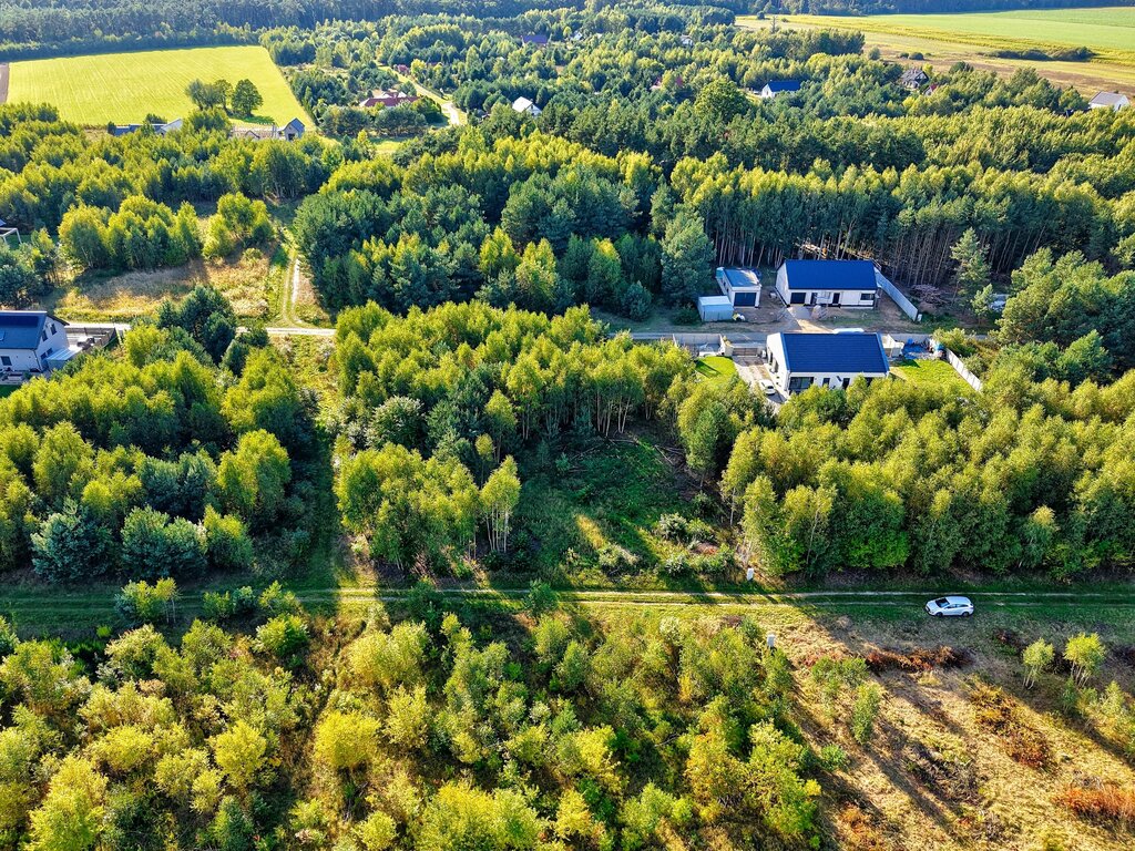 Zdjęcie 11