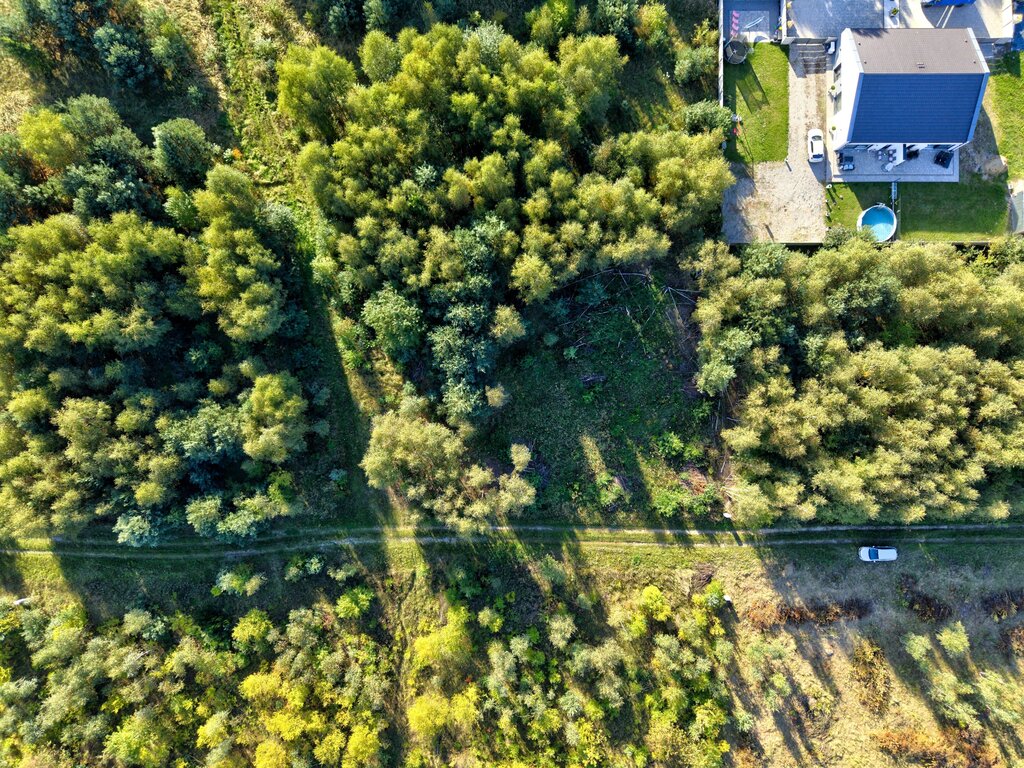 Zdjęcie 12