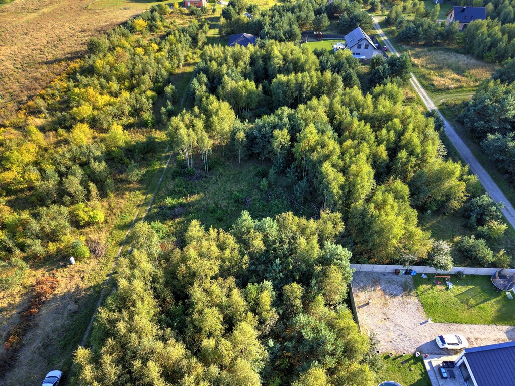 Zdjęcie 14