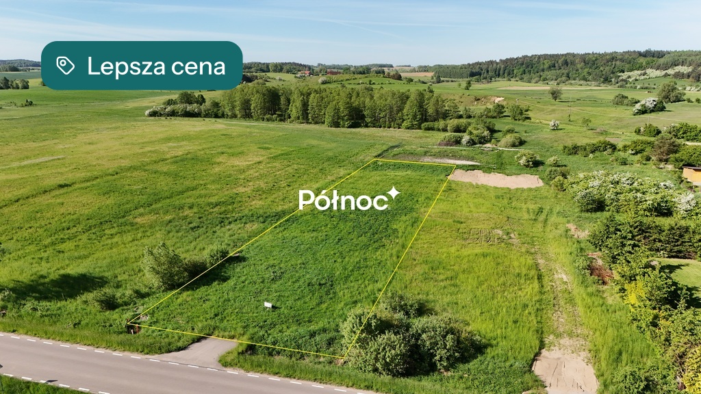Zdjęcie 11
