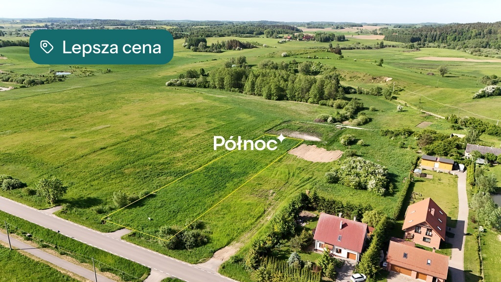 Zdjęcie 12