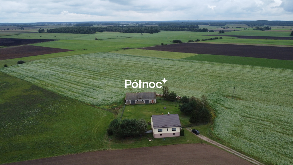 Zdjęcie 6