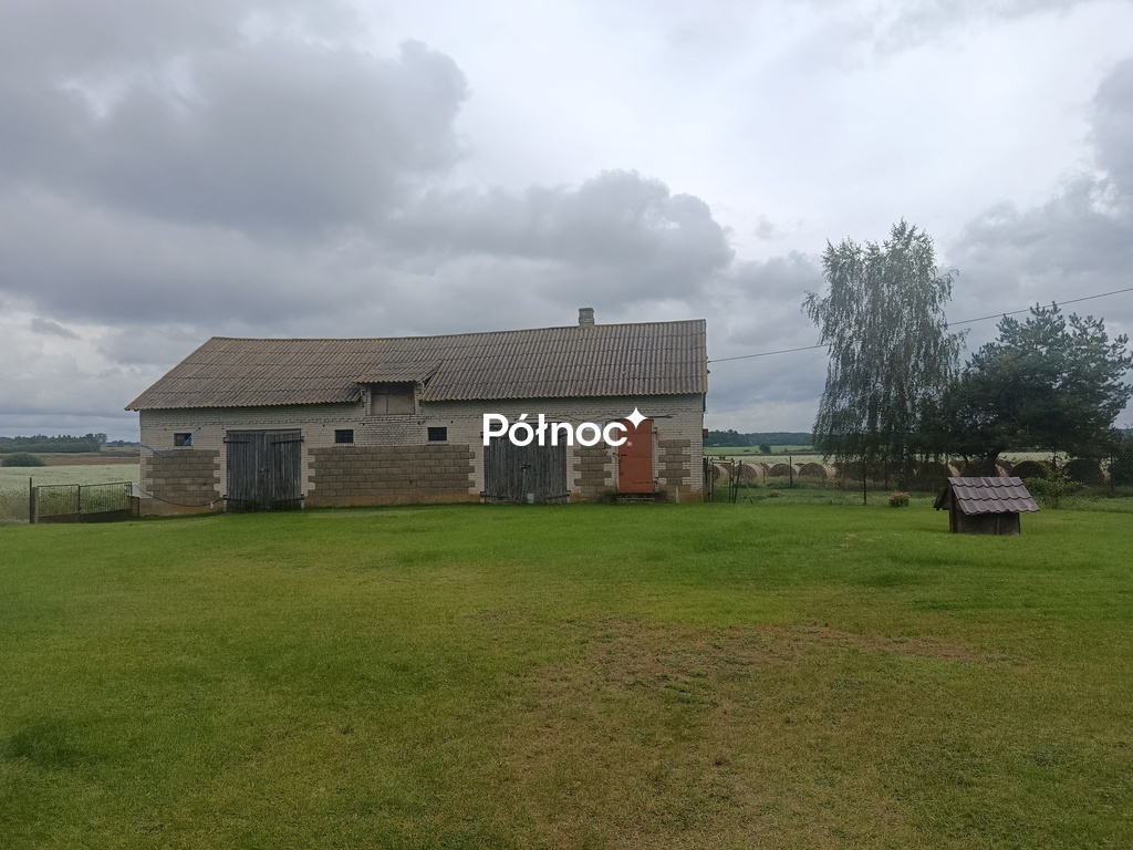 Zdjęcie 15