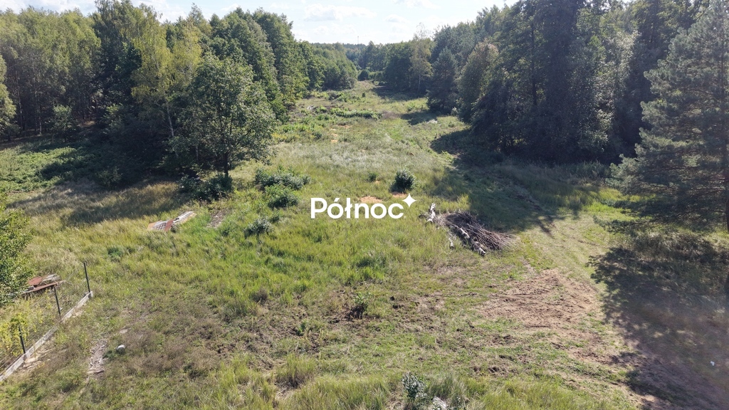 Zdjęcie 4