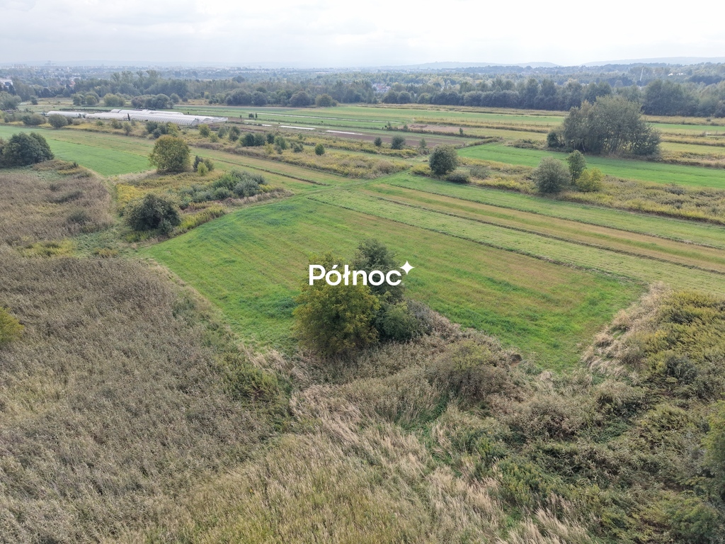 Zdjęcie 10