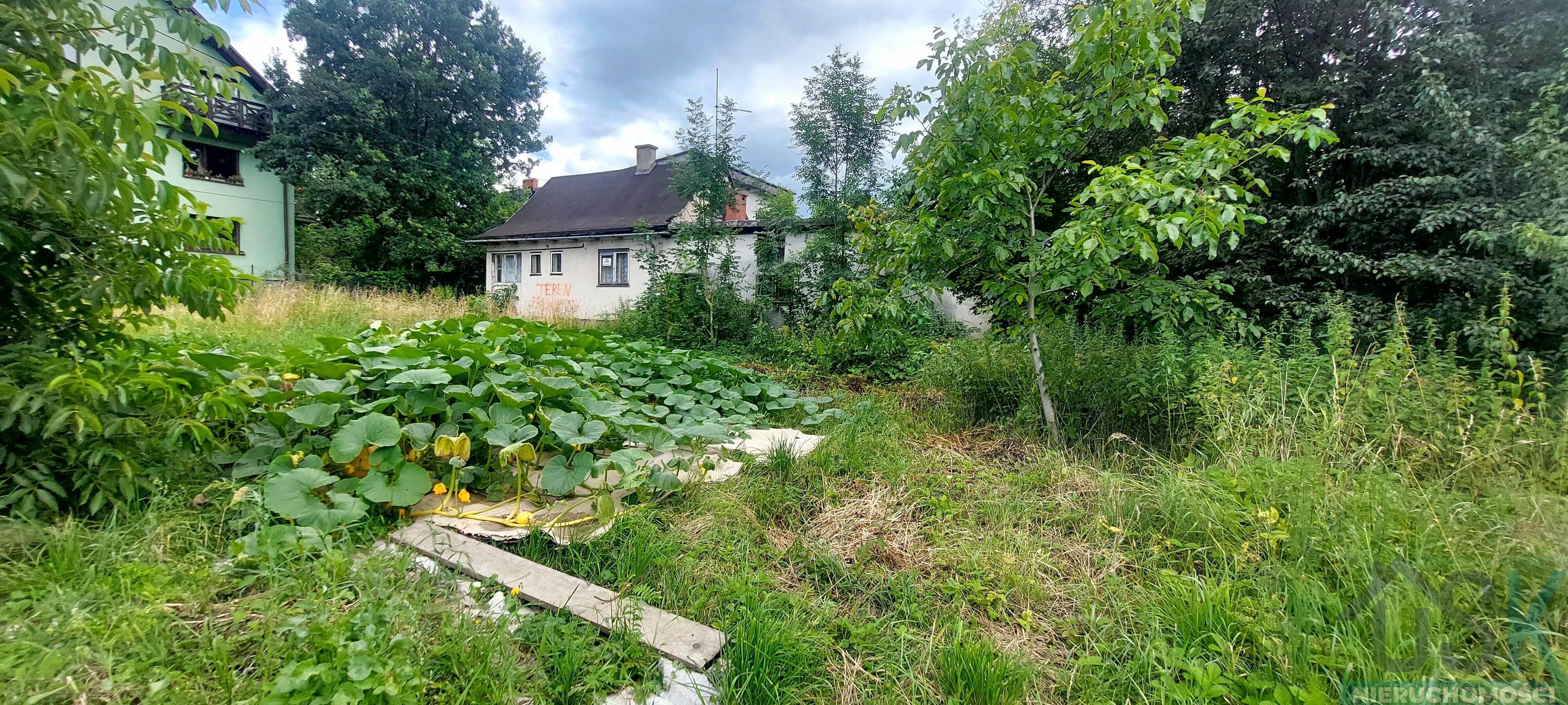 Zdjęcie 6