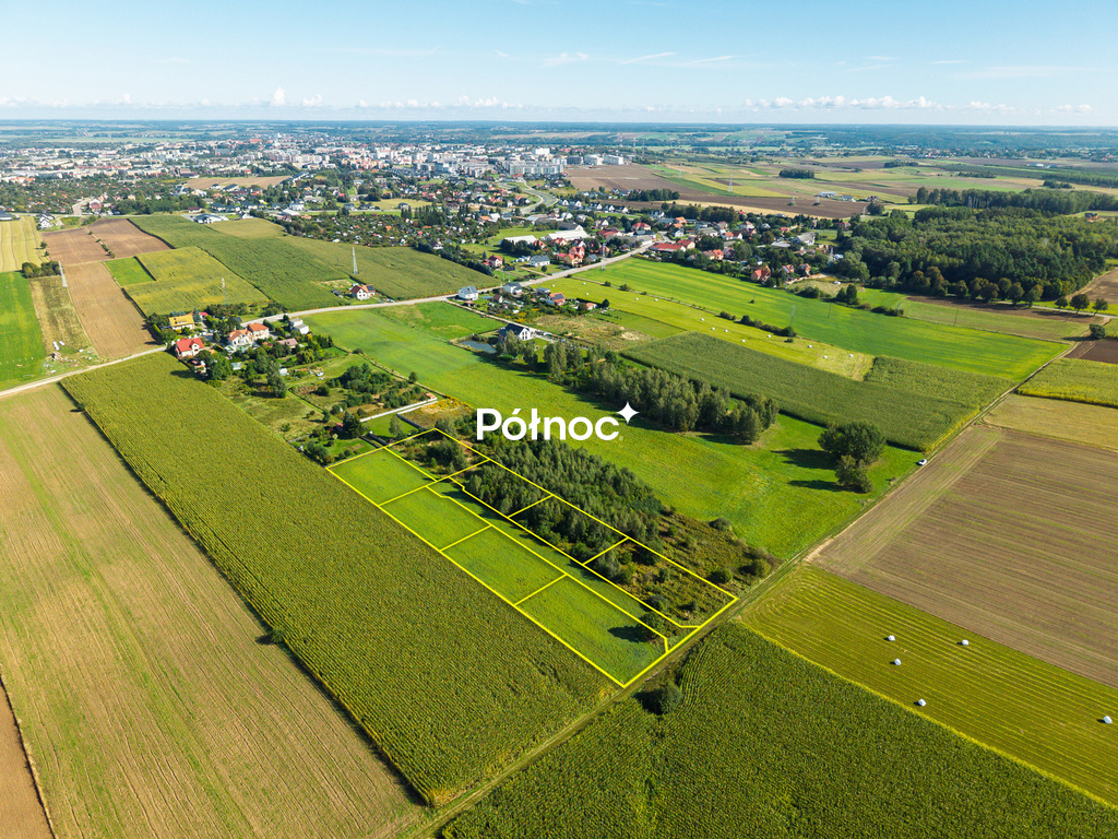 Zdjęcie 3