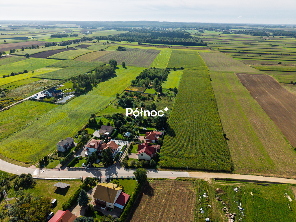 Zdjęcie 7