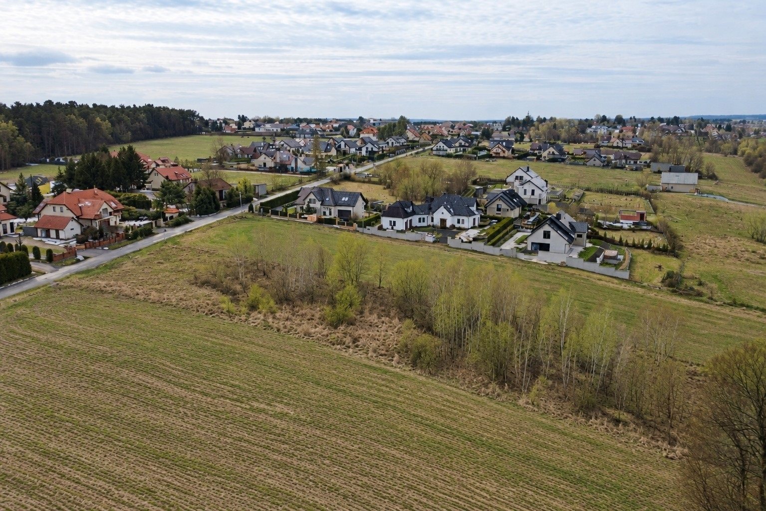 Zdjęcie 3
