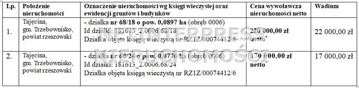 Zdjęcie 2
