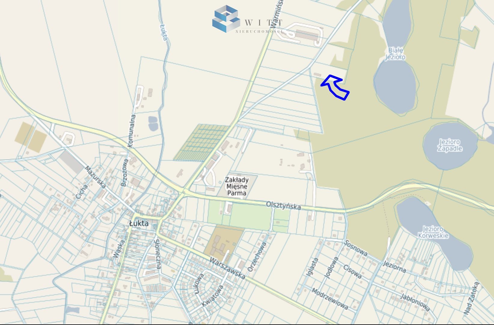 Zdjęcie 14