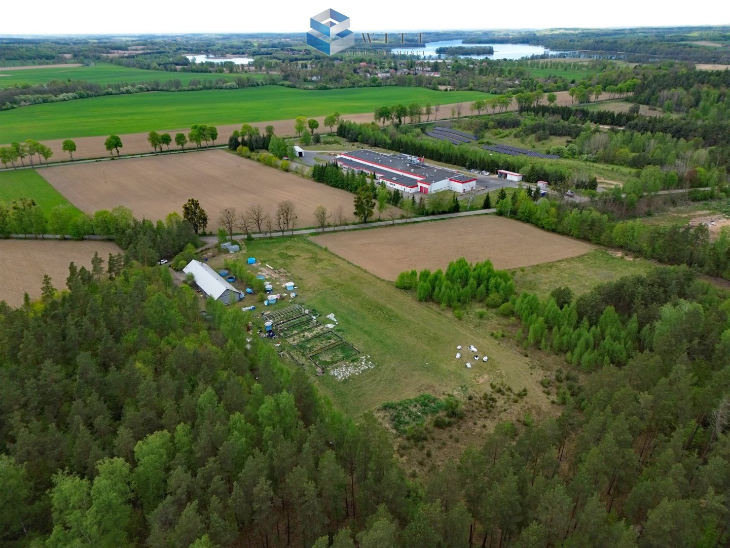 Zdjęcie 20