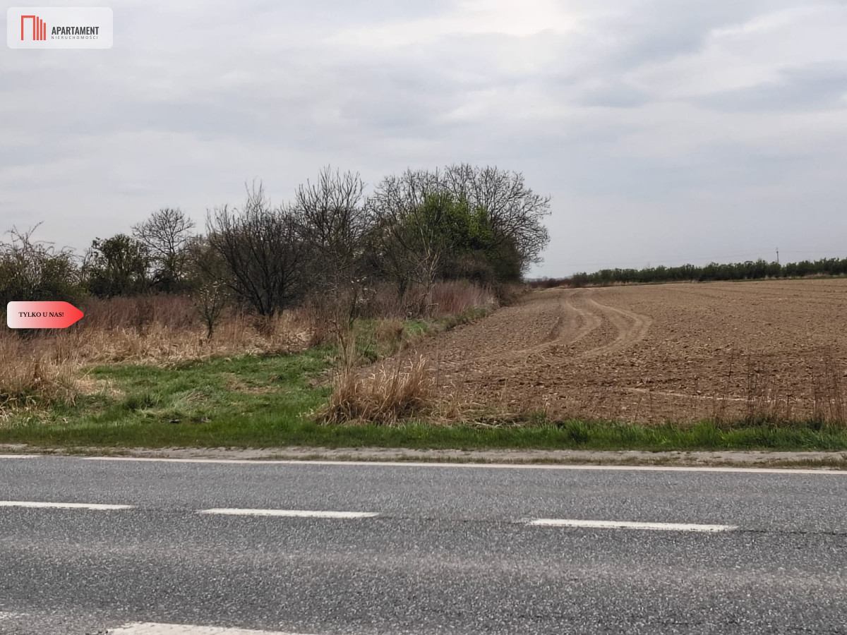 duża działka rolna przy A8