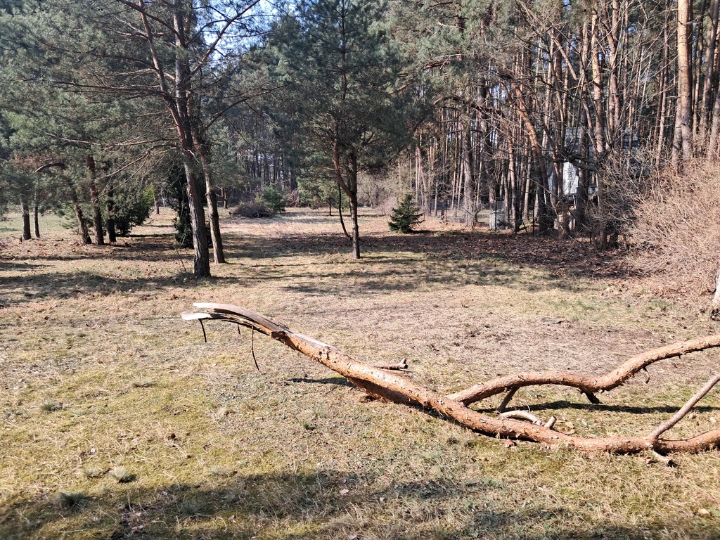 Zdjęcie 7