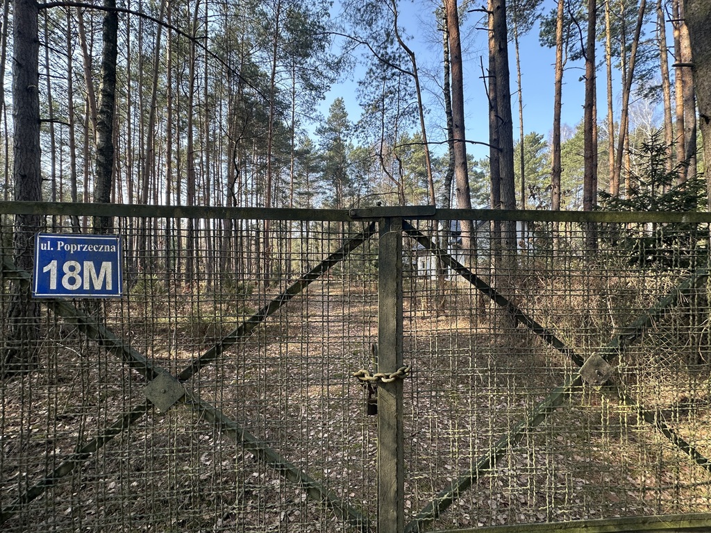 Zdjęcie 9