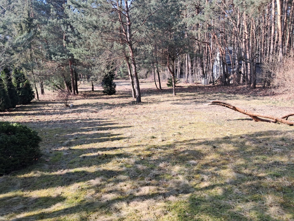 Zdjęcie 10