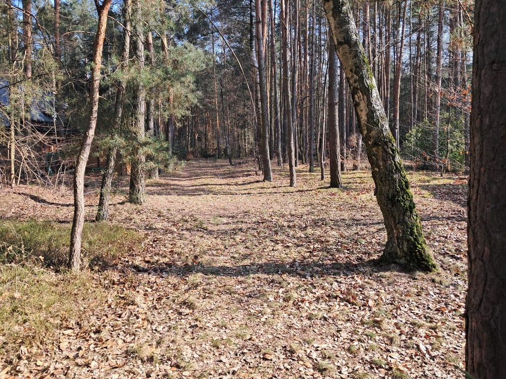Zdjęcie 11