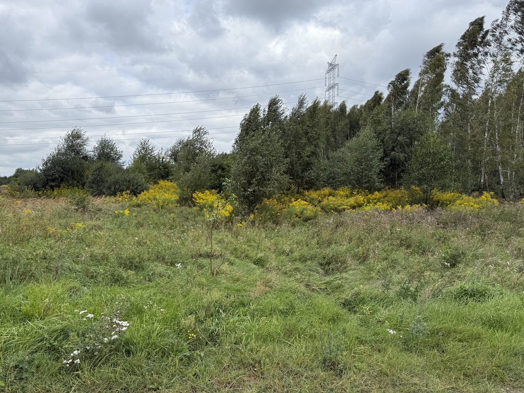 Działka budowlana 1707m2, Bukowiec, gm. Brójce
