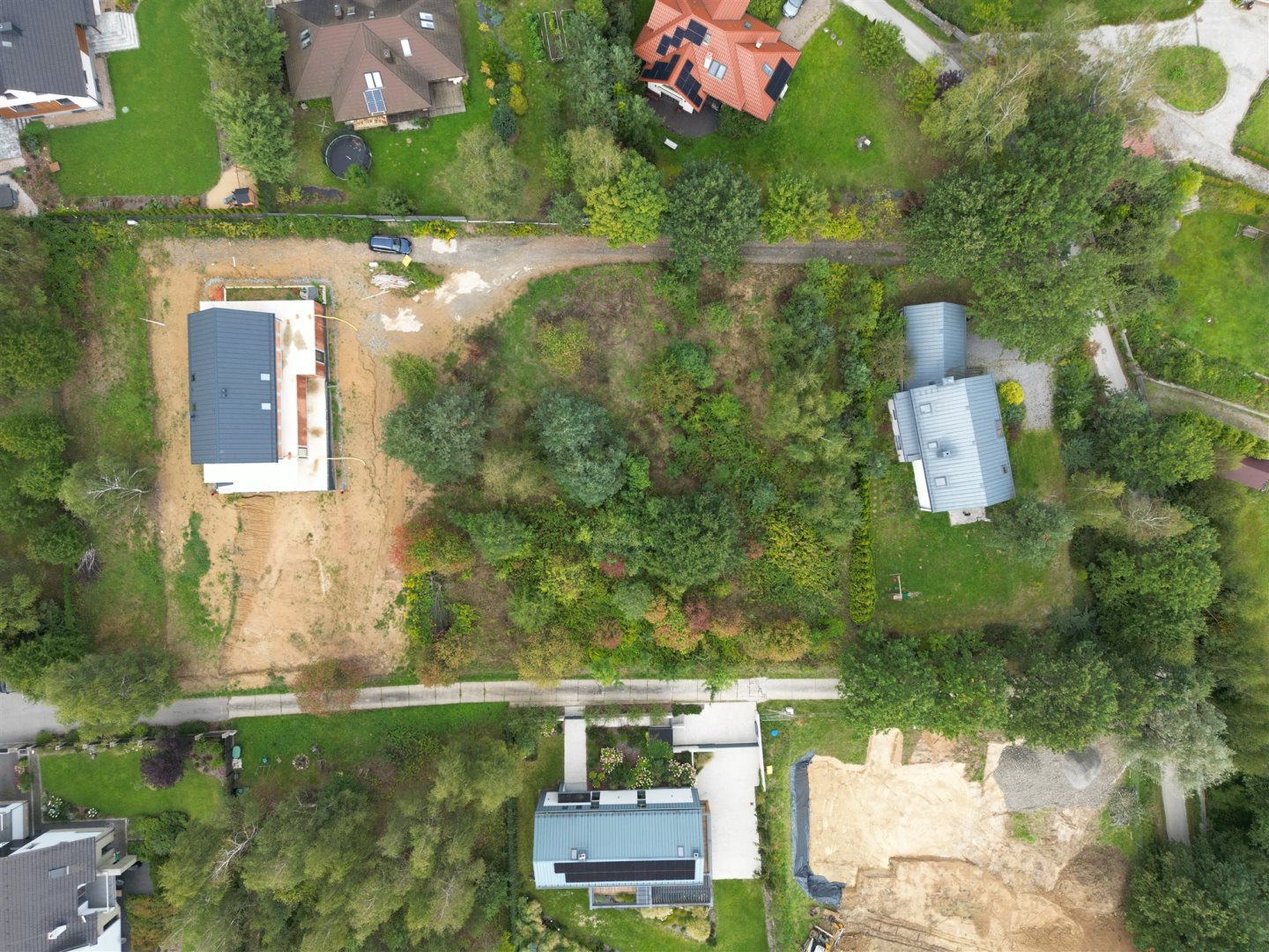 Zdjęcie 12