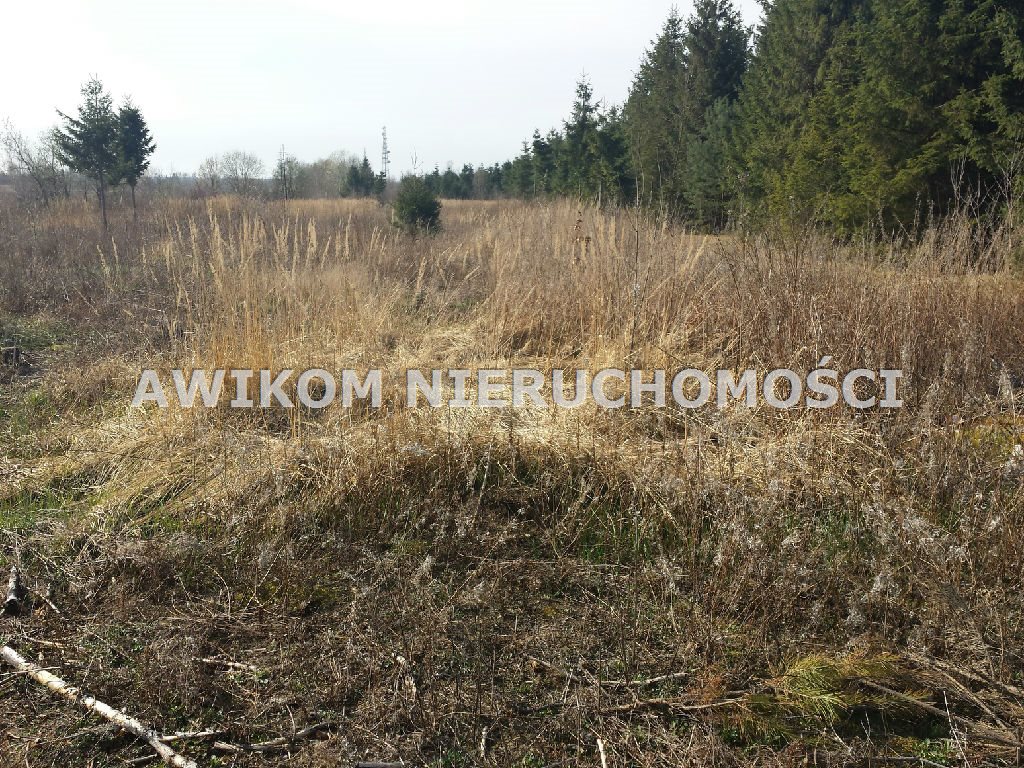 Działka rolna 2,02 ha, Szeligi