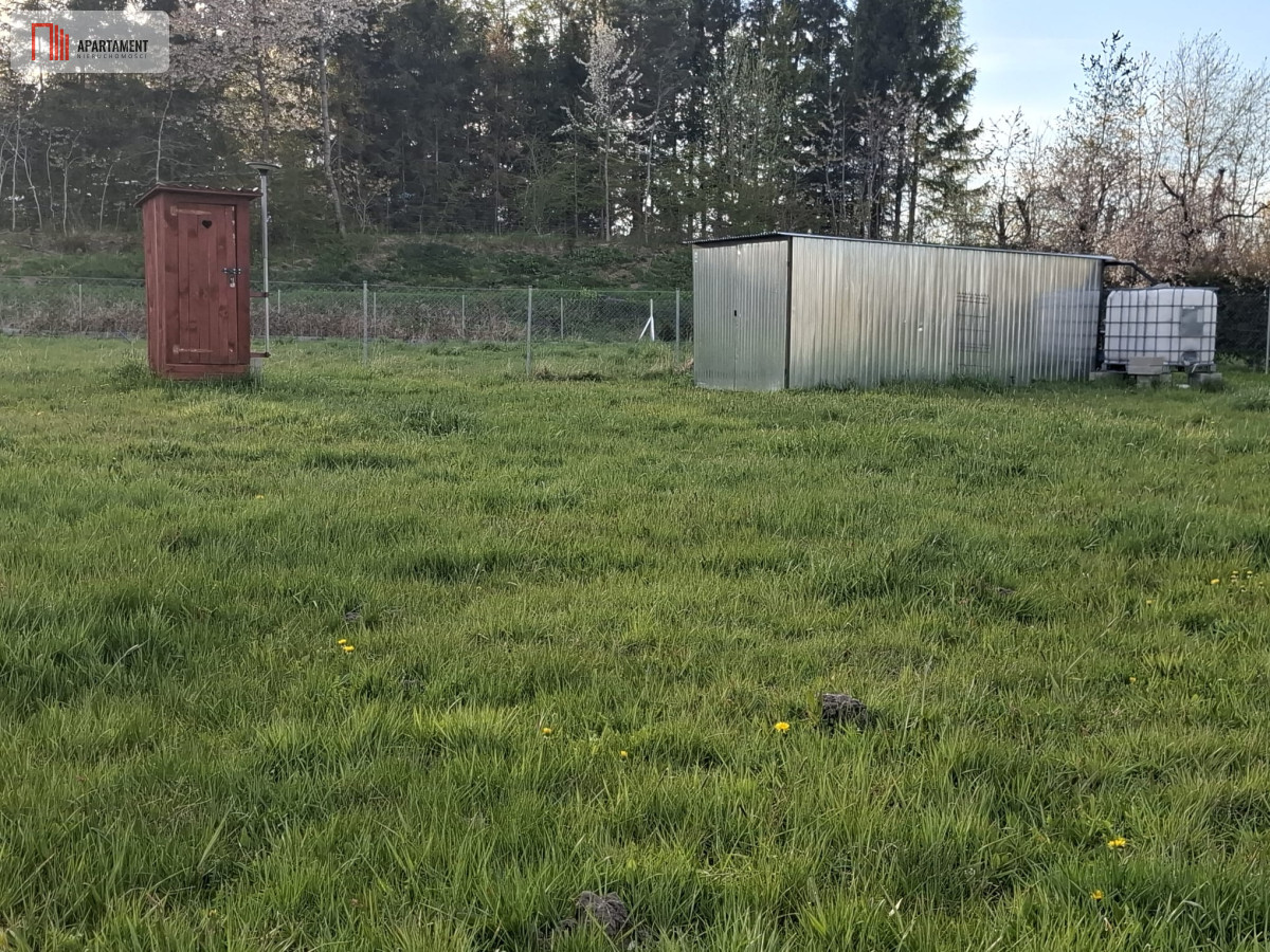 Zdjęcie 21