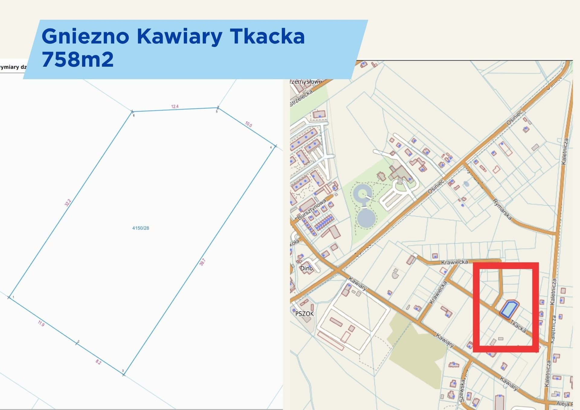 Zdjęcie 10