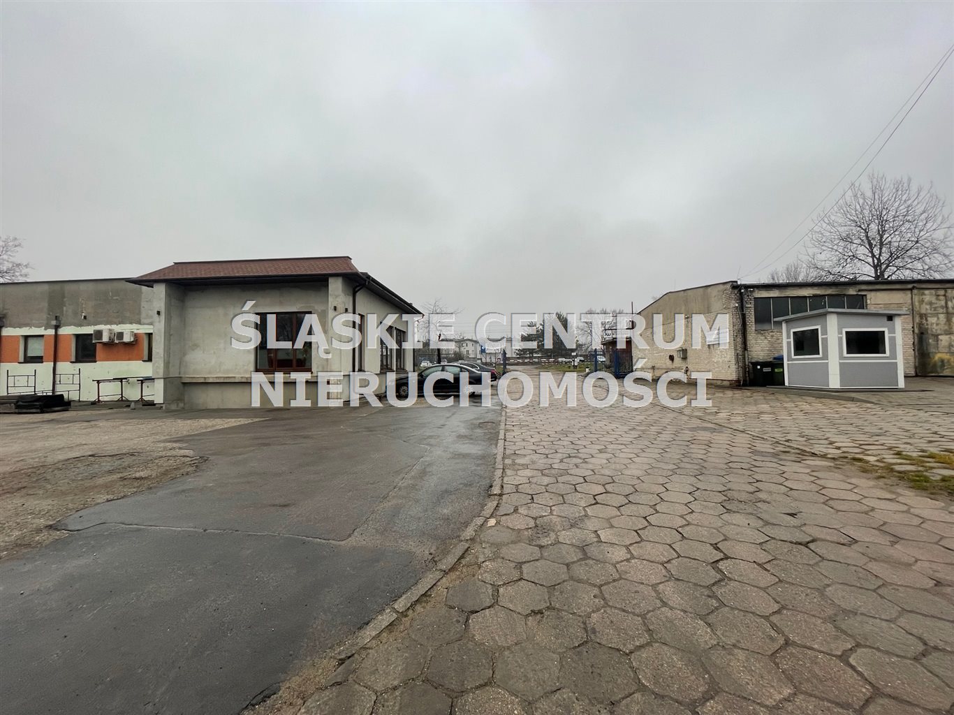 Zdjęcie 10