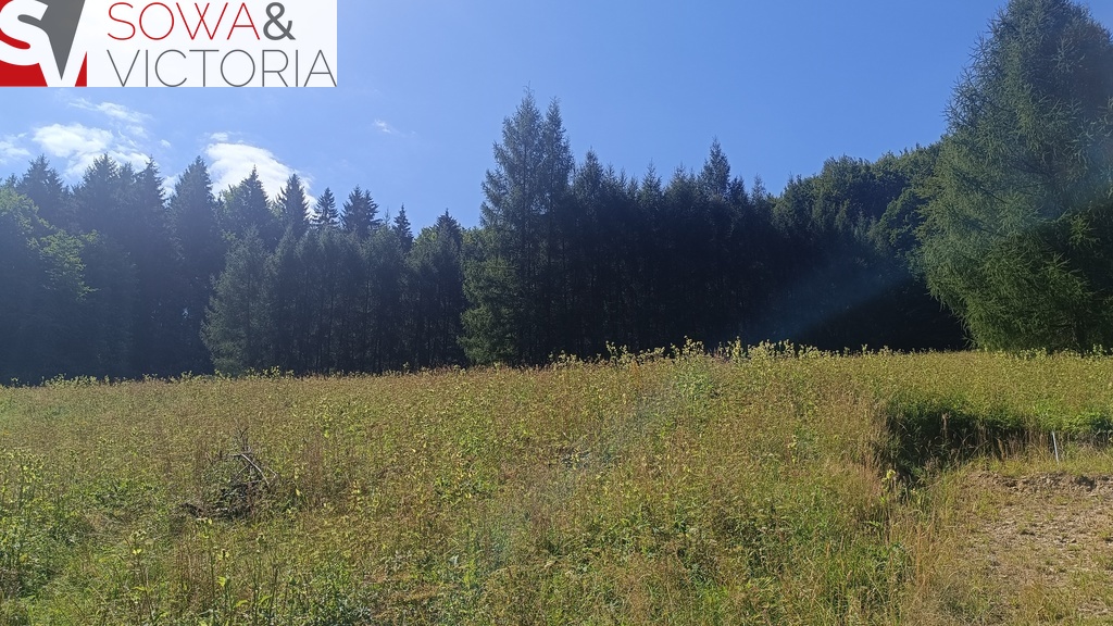 Działka budowlana 1,62 ha, Michałkowa