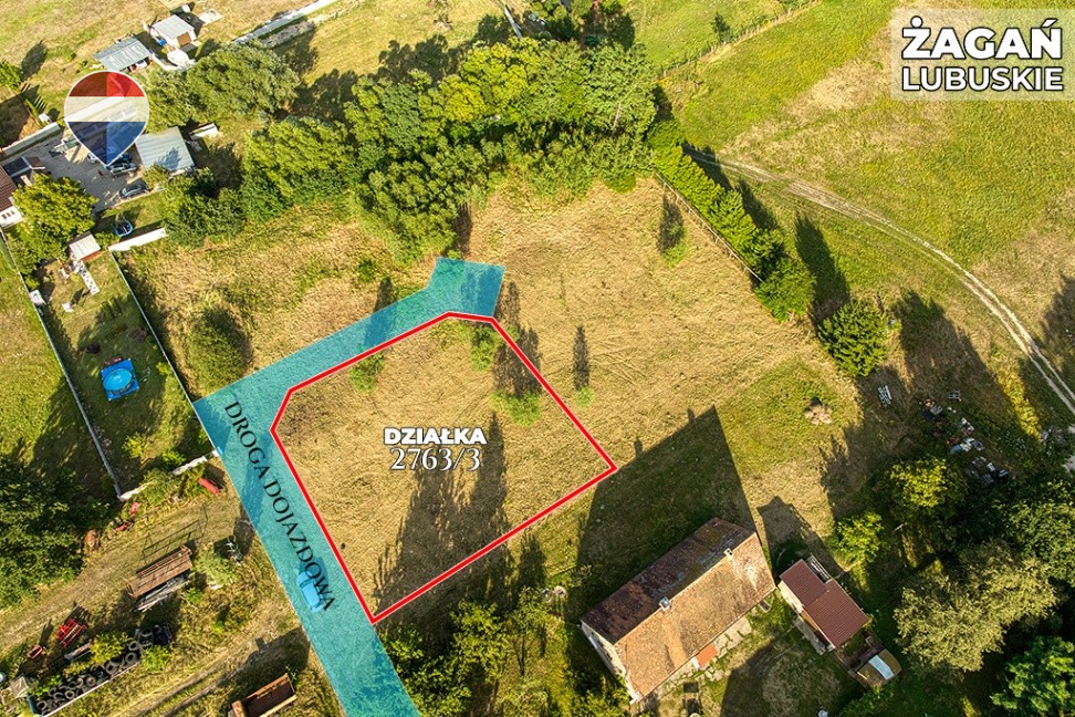 Zdjęcie 10