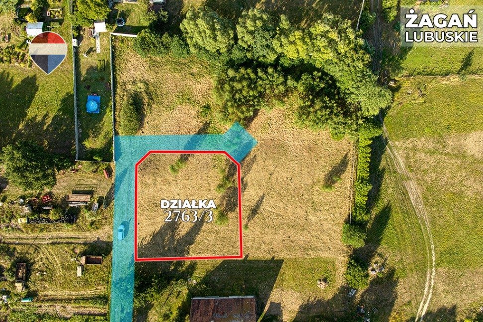 Zdjęcie 12