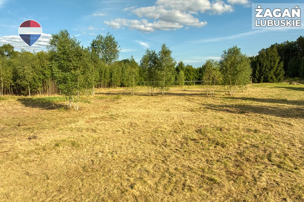 Zdjęcie 20