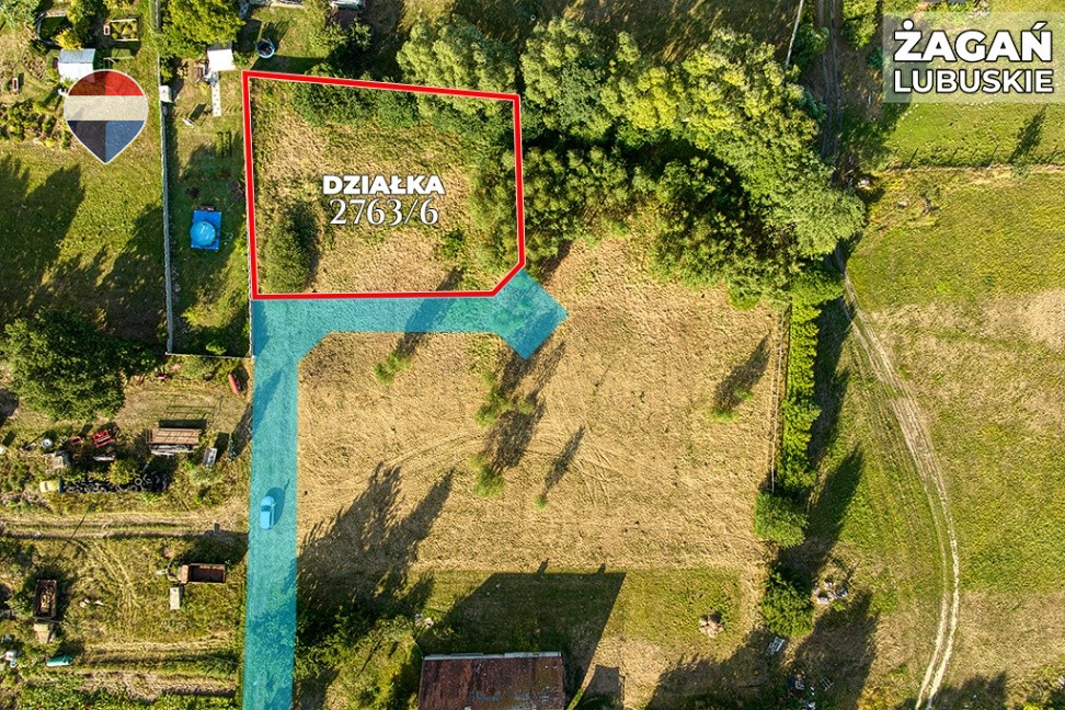 Zdjęcie 9