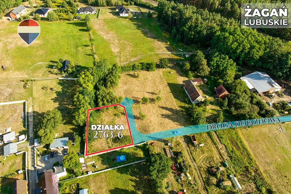 Zdjęcie 12