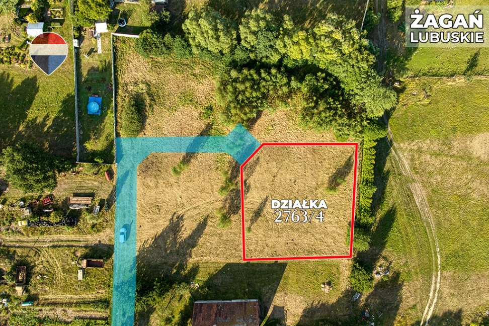 Zdjęcie 6