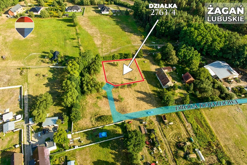 Zdjęcie 12
