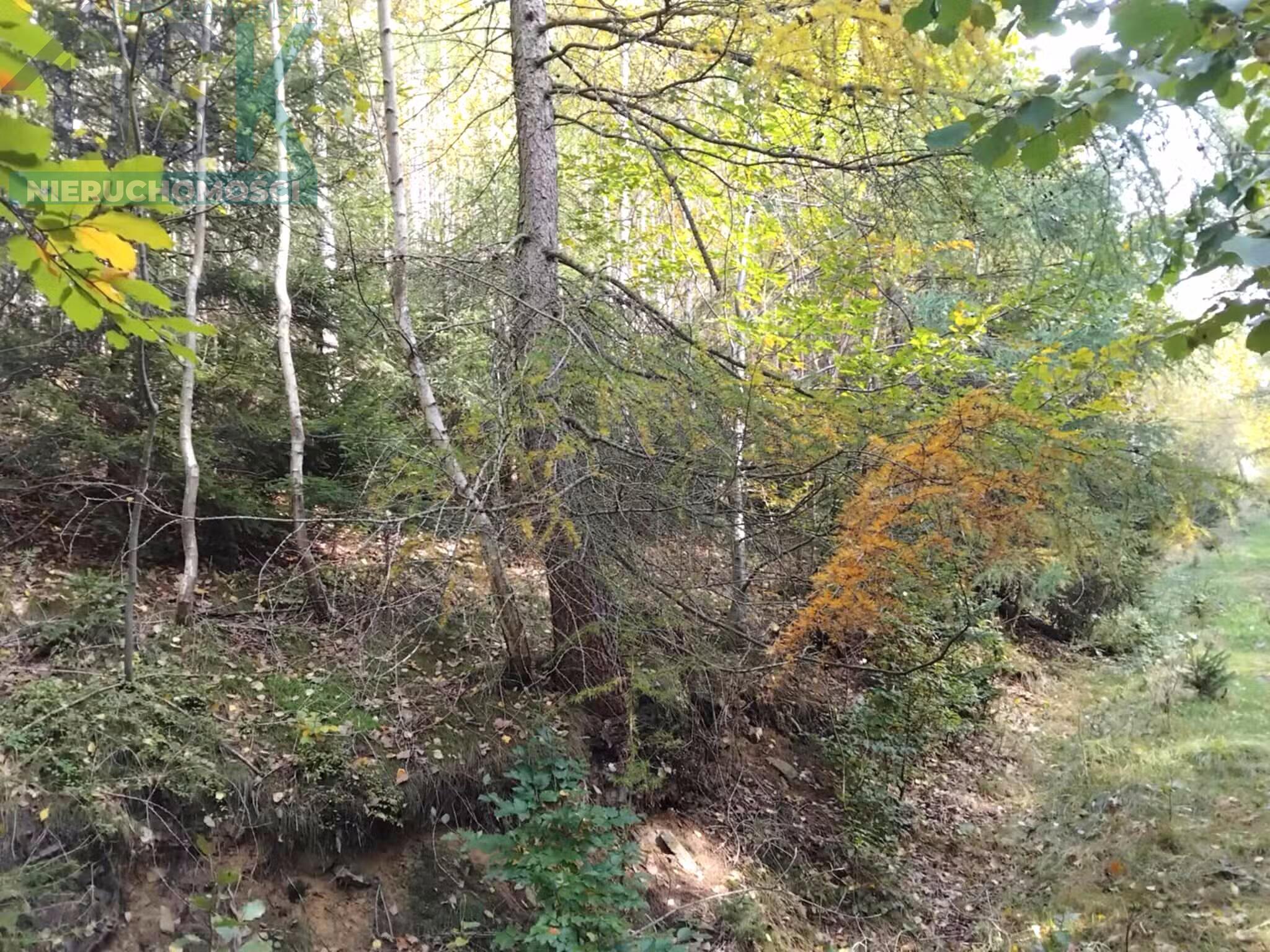 Zdjęcie 2